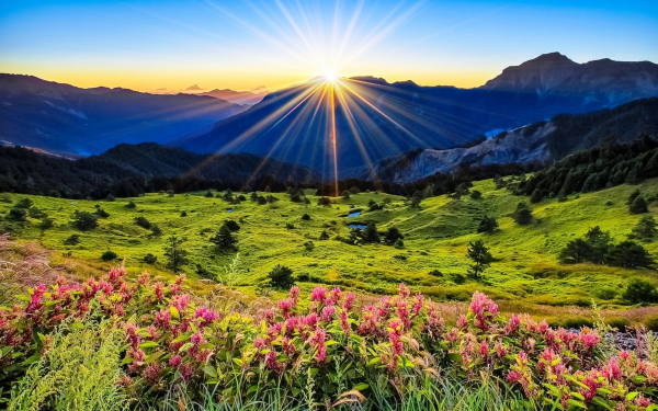 Летнее утро в горах