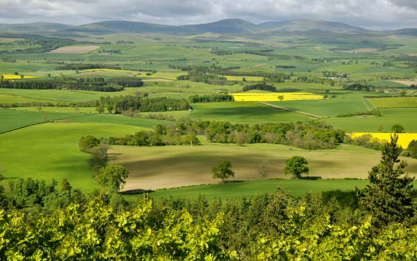 Красивая картинка лето