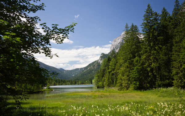 Лето в Альпах