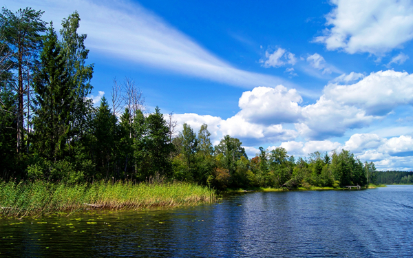 Река лес облака лето