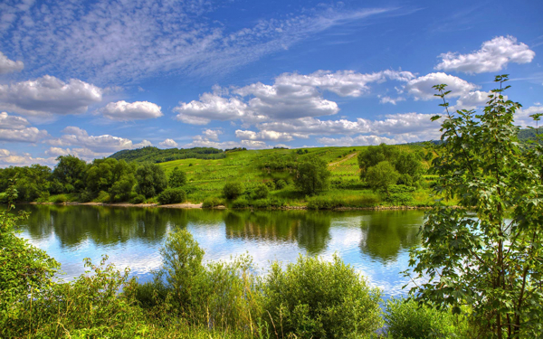 Теплый летний день на речке