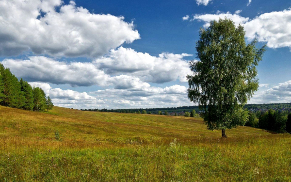 Лето на российких просторах