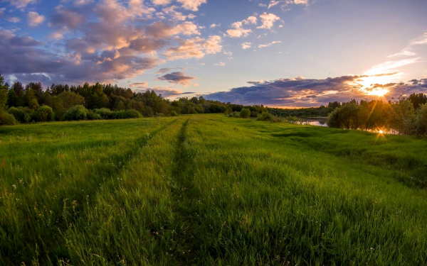 Теплый летний вечер