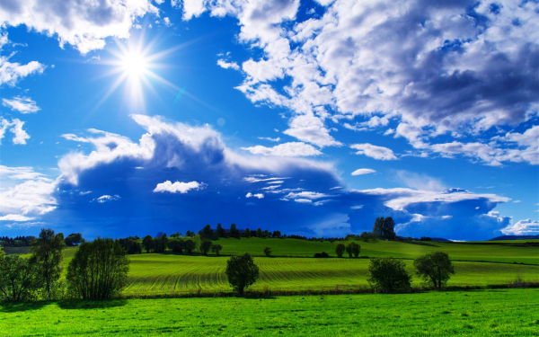 Яркое солнце над летними полями