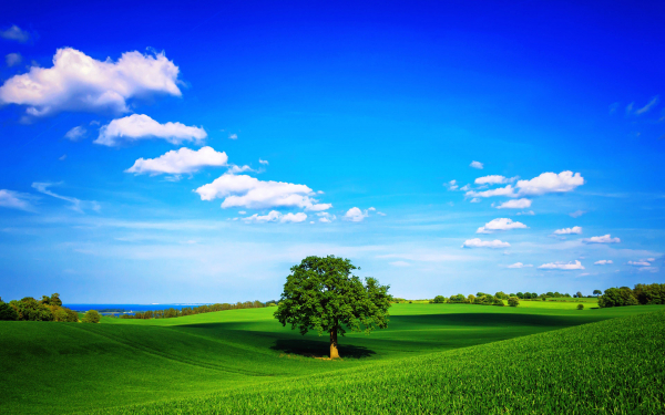 Облака над летним полем