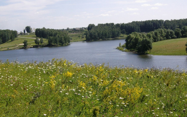 Деревенское лето