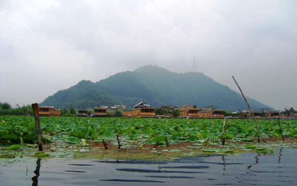 Индия. Озеро Дал в Шринагаре