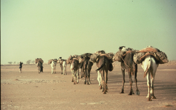 Караван с грузом