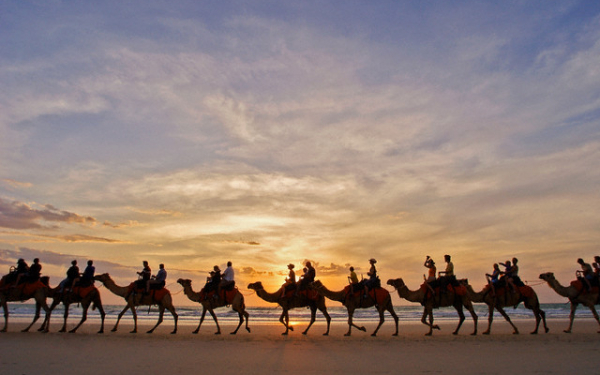 Караван верблюдов