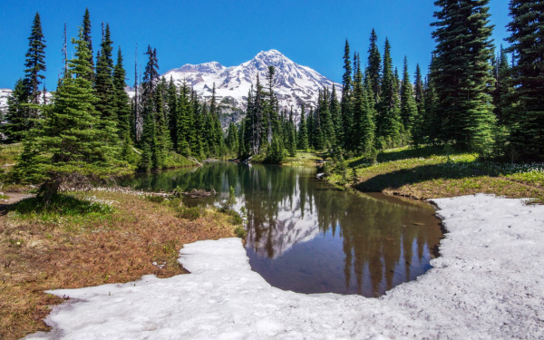 Весна в горной тайге