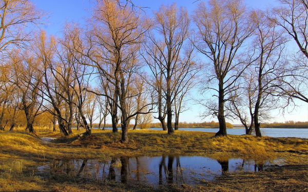 Весна на берегу реки