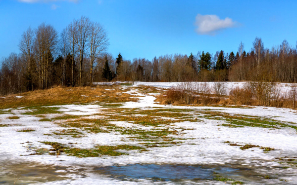 Весенний пейзаж