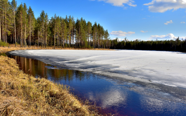 Весна на таежной реке