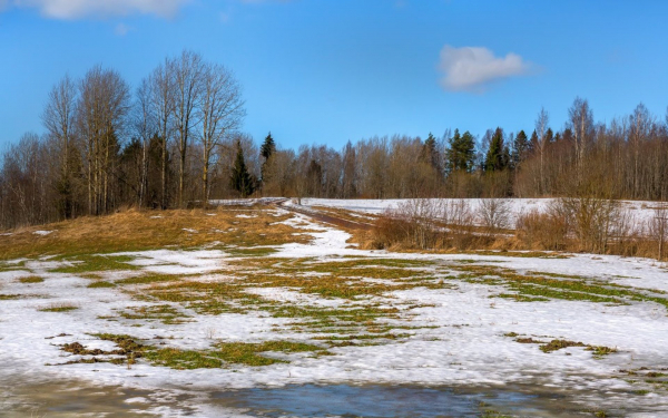 Солнечный день на весенней природе
