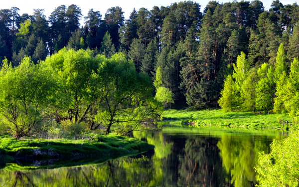 Весна на реке