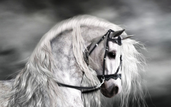 Белогривая лошадь