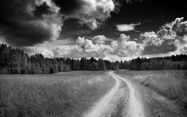 Дорога в лес