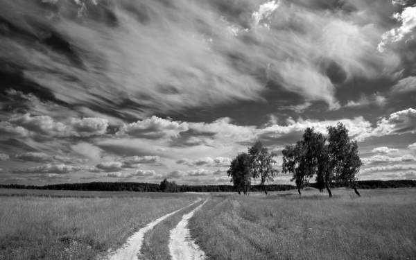 Поле дорога лес облака