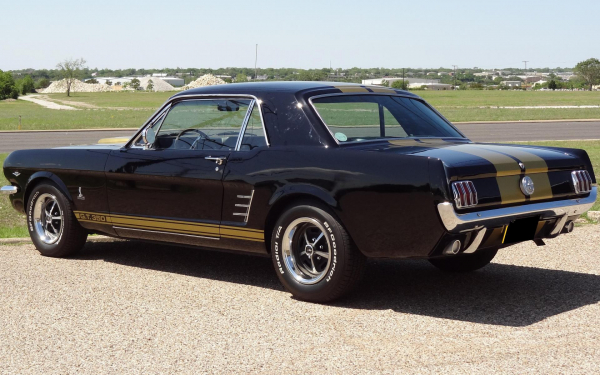 1966 Ford Shelby GT 350