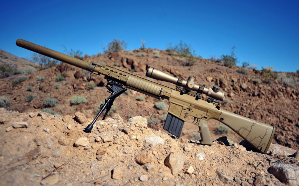 Американская снайперская винтовка SR-25