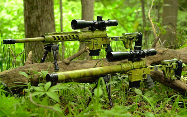 Снайперские винтовки Лобаева