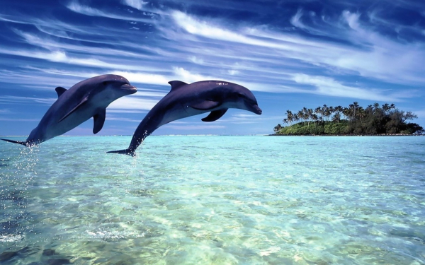 Полет над бирюзовым морем