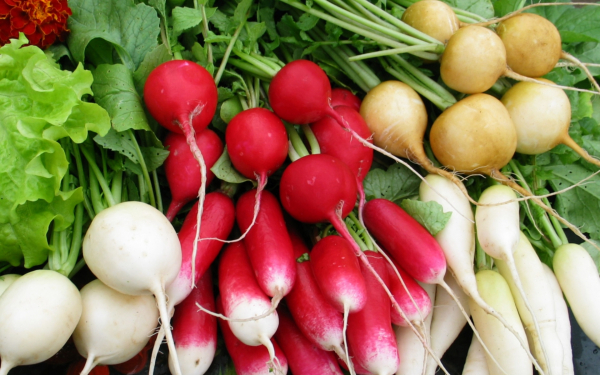 Корнеплоды