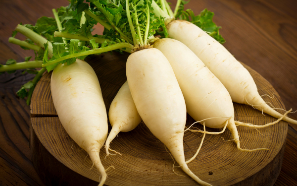Редька дайкон