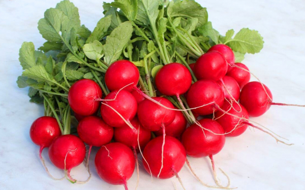 Сладкий редис