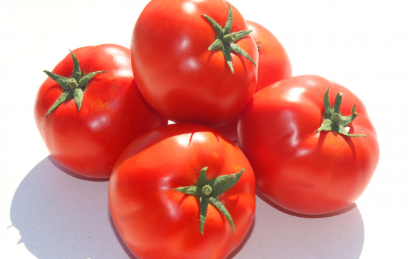 Красные спелые томаты