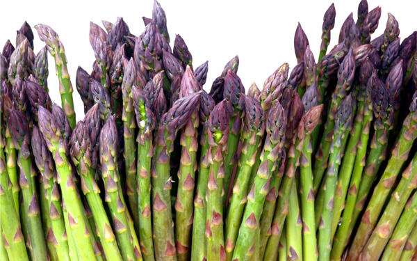 Спаржа