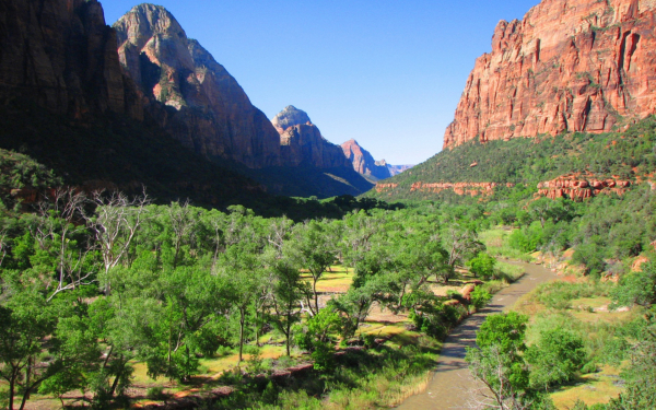 Зеленая долина в каньоне