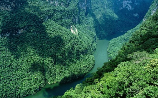 Зеленый каньон в Чиапасе. Мексика