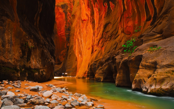 На дне каньона