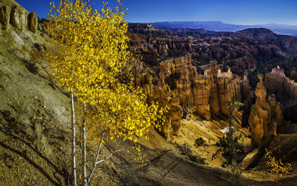В каньоне осень