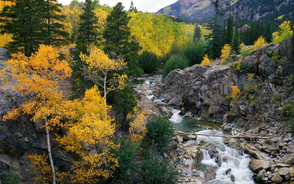 В речном каньоне осень