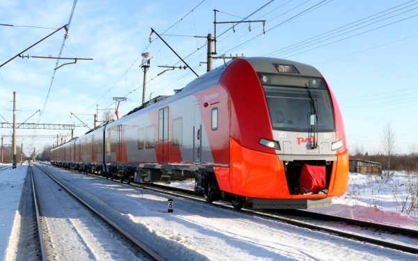 Ласточка зимой