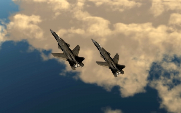 Су-47 «Беркуты» в полете