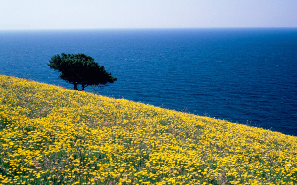 Синее Эгейское море