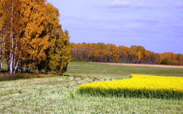 Осень в сибири