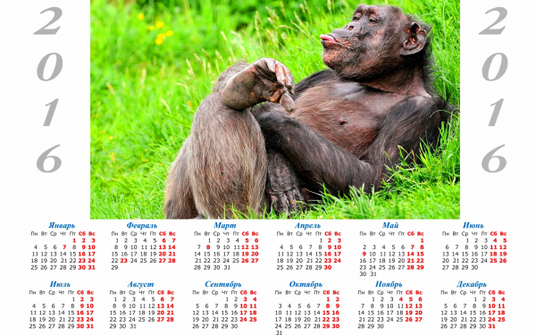 Календарь с символом 2016 года