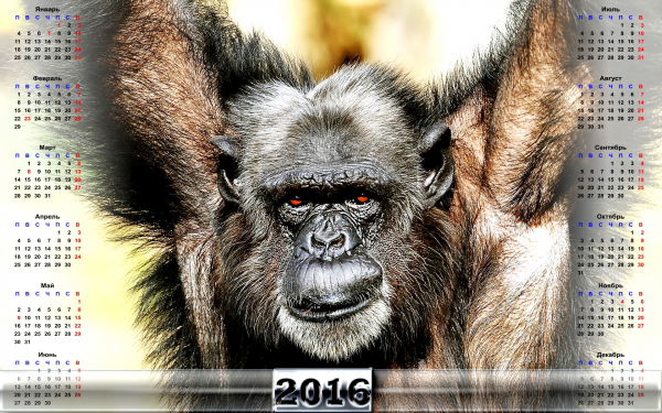 Символичный календарь 2016