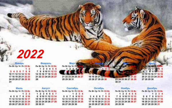 Календарь на новый 2022 год