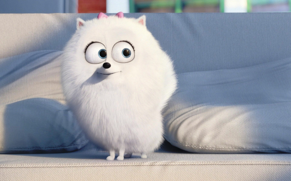 Девочка-шпиц Гиджет