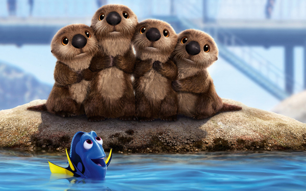 Дори и выдры