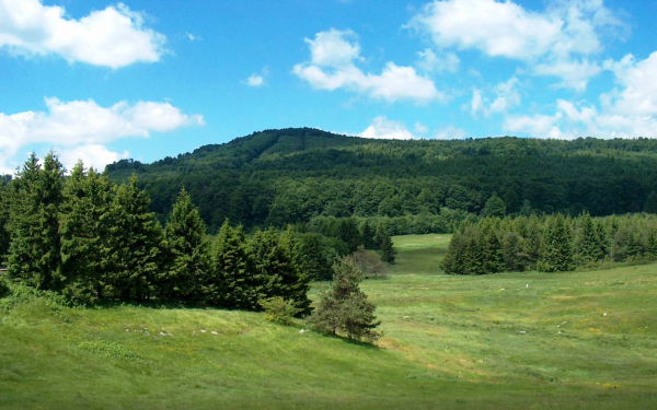 Природа Болгарии