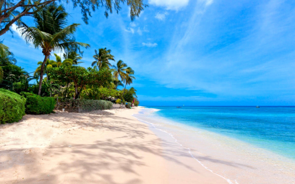 Синее небо синее море пляж пальмы