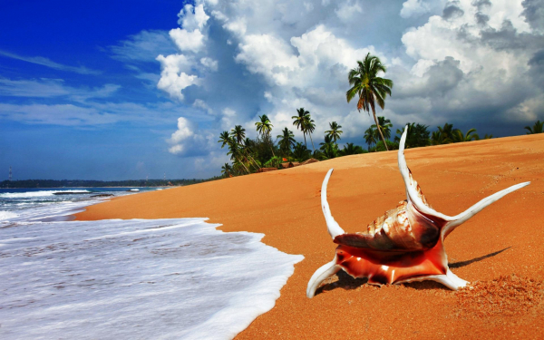 Пляж на Шри-Ланке