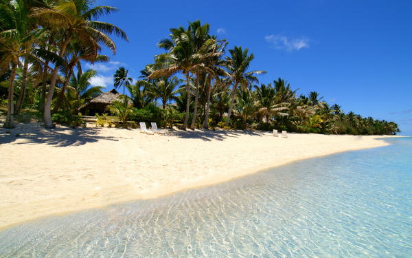 Ласковое море песчаный пляж пальмы экзотика