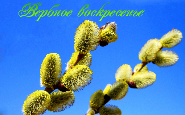 Вербное воскресенье